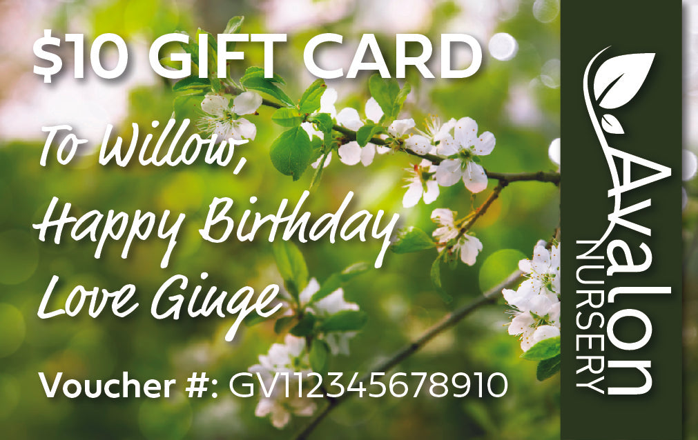 $10 AVALON NURSERY GIFT VOUCHER – Avalon Nursery