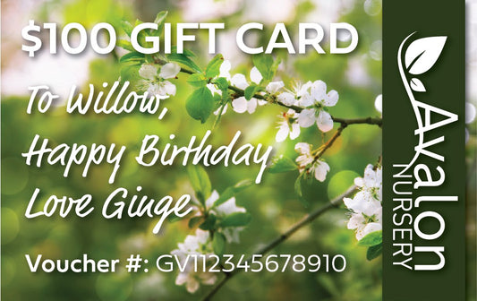 $100 AVALON NURSERY GIFT VOUCHER