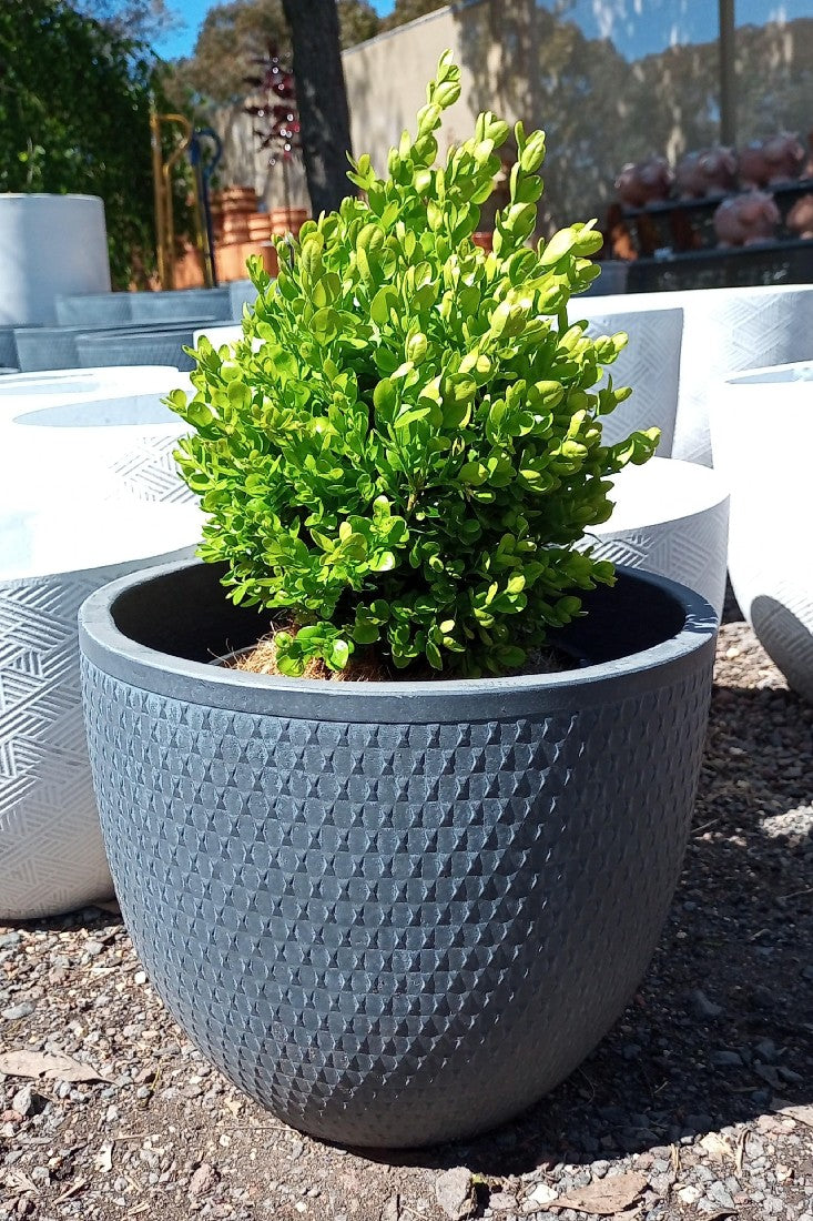 BOWKNOT PLANTER GREY SMALL