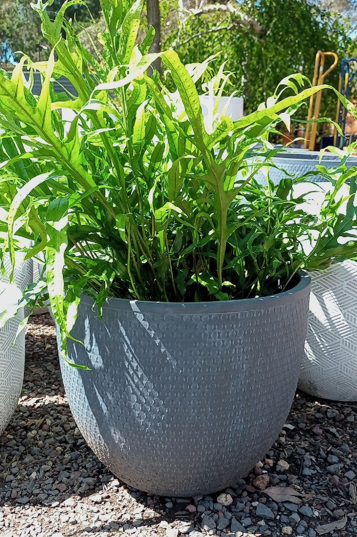 BOWKNOT PLANTER GREY MEDIUM