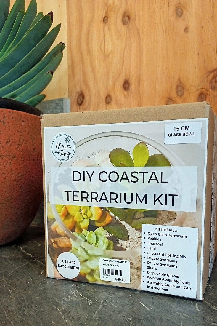 DIY COASTAL TERRARIUM KIT 15CM BOWL