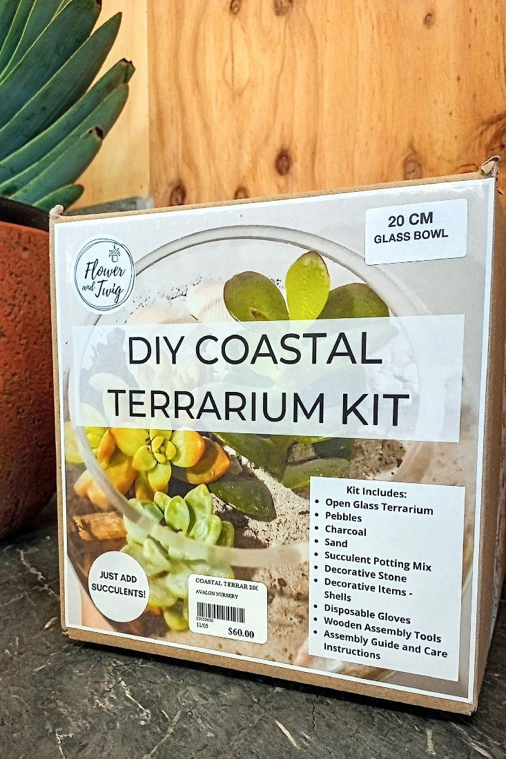 DIY COASTAL TERRARIUM KIT 20CM BOWL