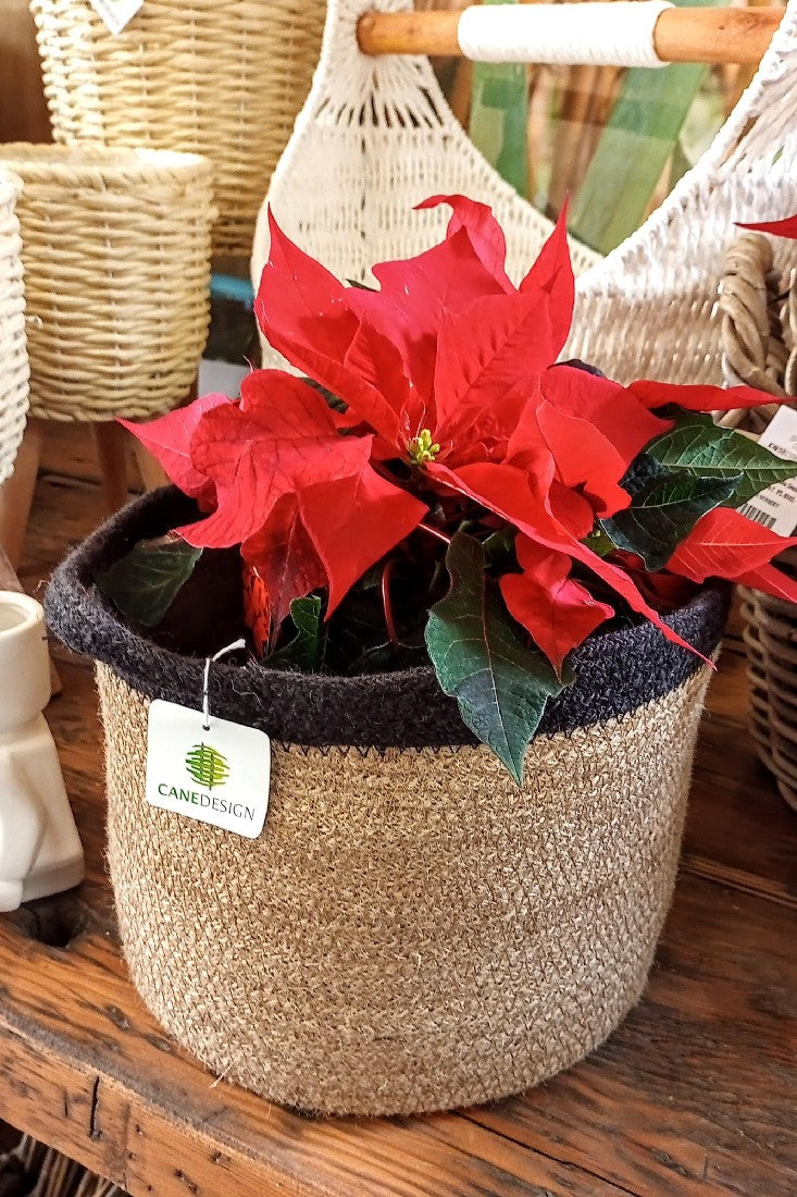 JUTE ROUND PLANTER WITH BLACK RIM MEDIUM