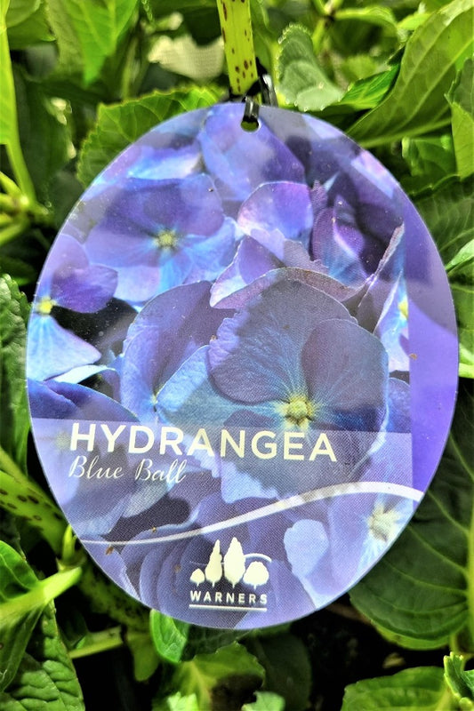 HYDRANGEA BALL BLUE 200MM