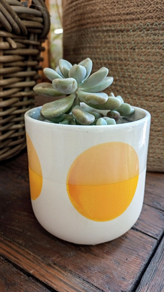 SKYLA CIRCLE PLANTER YELLOW