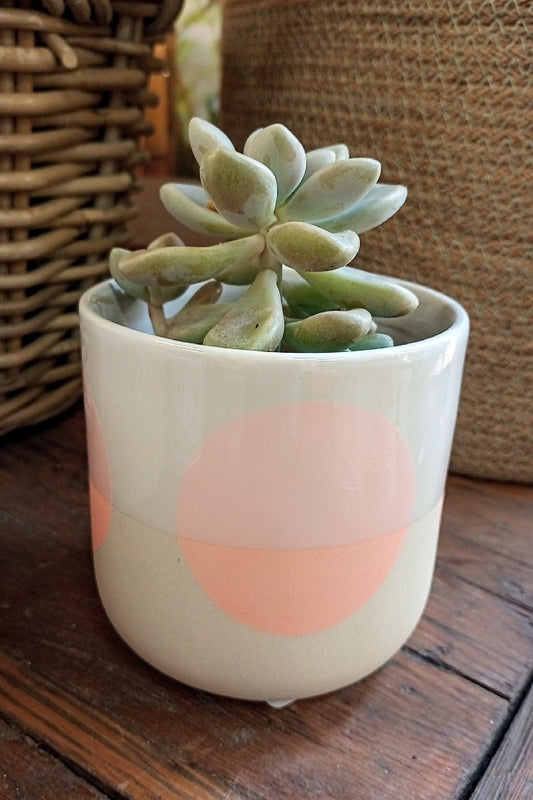 SKYLA CIRCLE PLANTER PINK