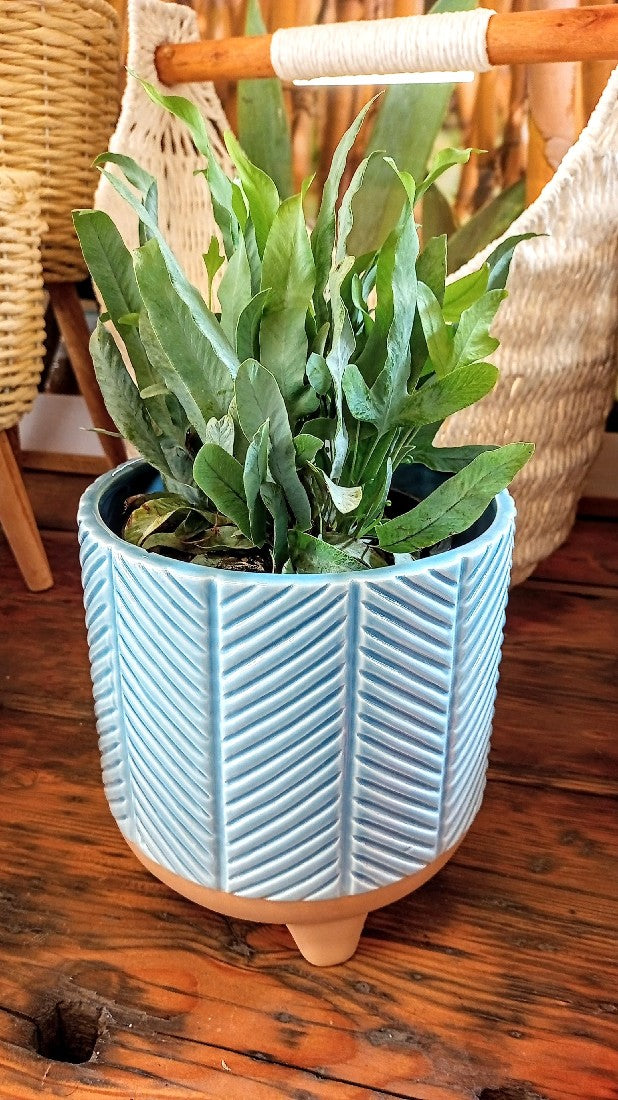 ZARI PLANTER DUSTY BLUE LARGE