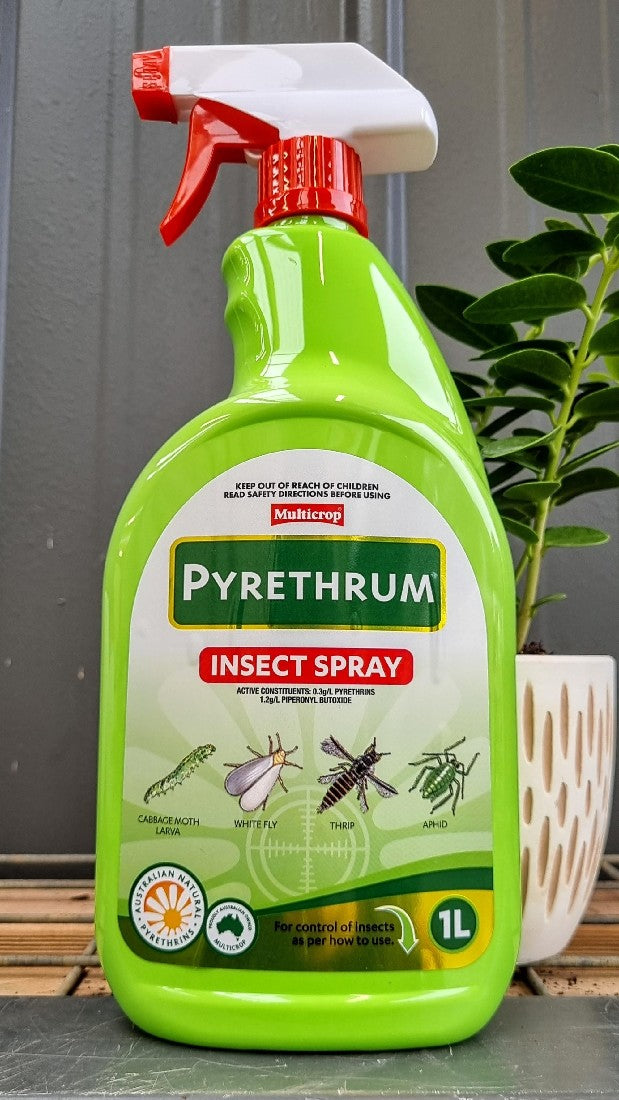 PYRETHRUM INSECT SPRAY READY TO USE 1L – Avalon Nursery