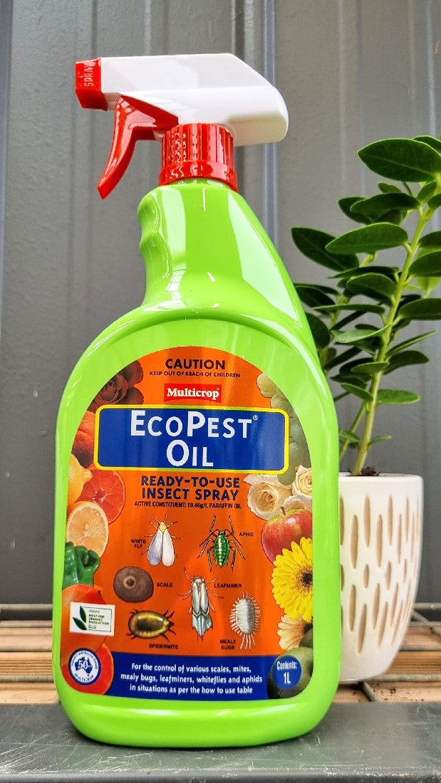 ECOPEST OIL READY TO USE 1L