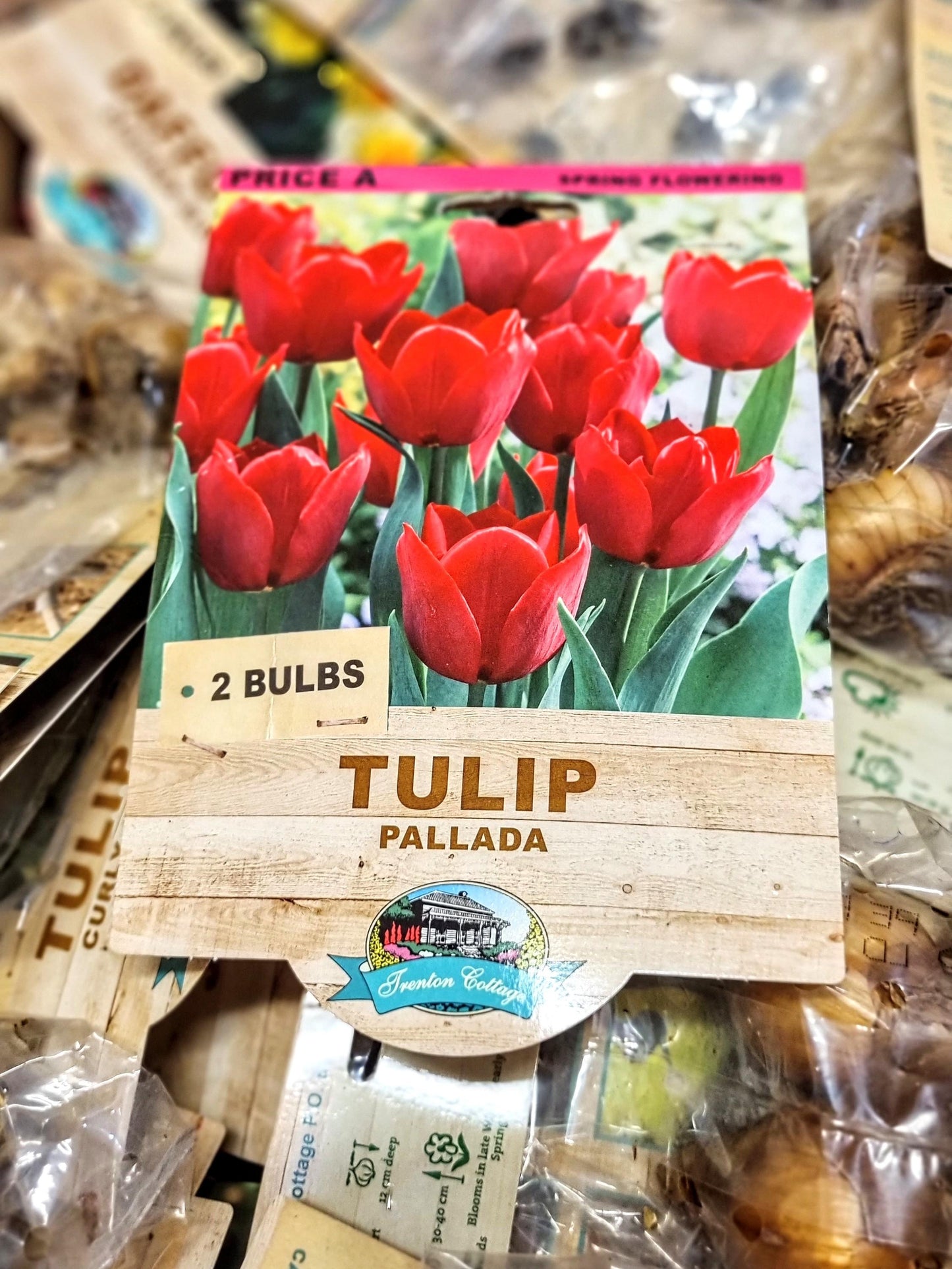 TULIP PALLADA PACK